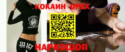 гашик Камышлов
