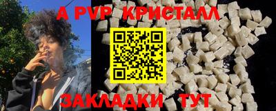 гашик Камышлов