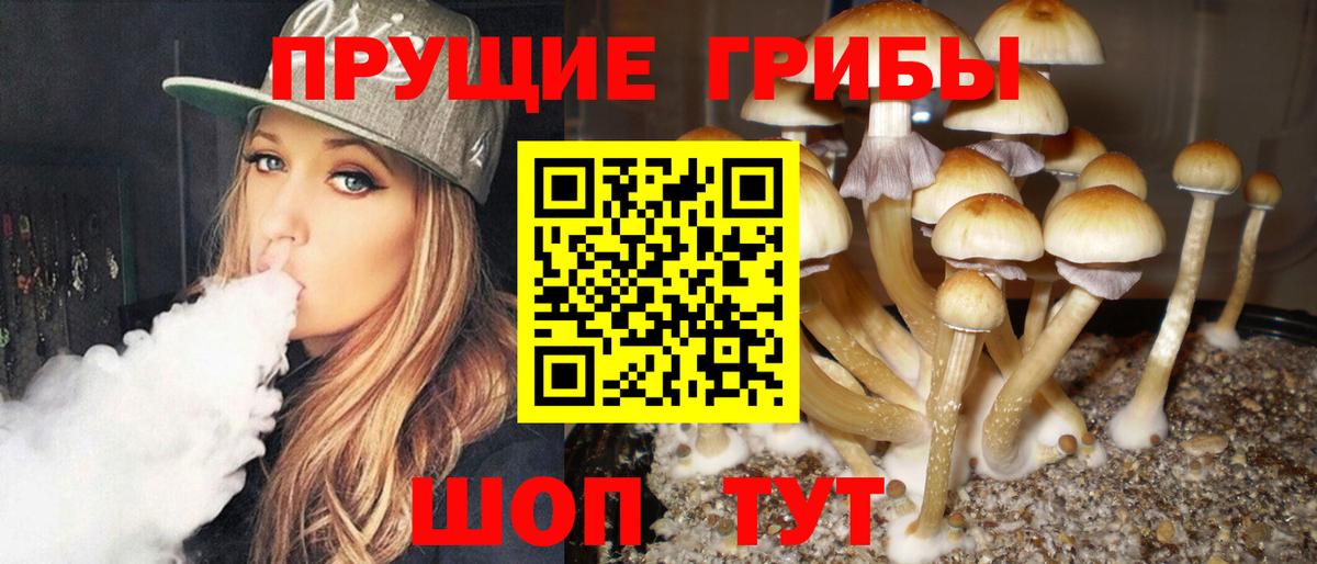 Карпинск  продажа наркотиков  Вход с VPN  Галлюциногенные грибы MAGIC MUSHROOMS 