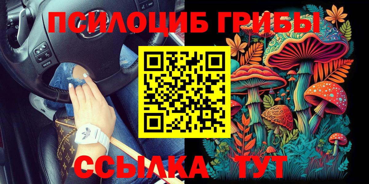 Псилоцибиновые грибы ЛСД Карпинск